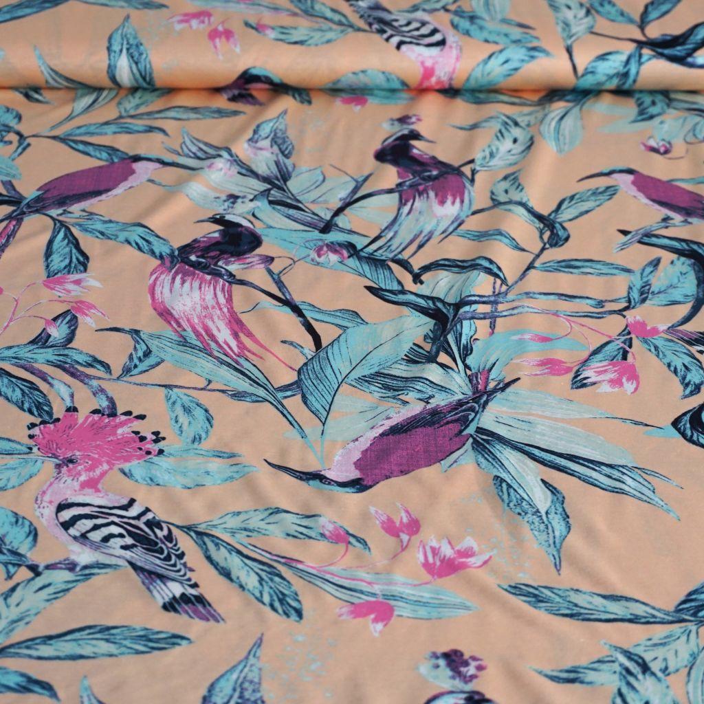 Baumwolljersey 100% Vögel apricot mint rosa
